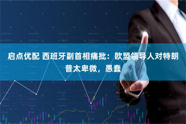 启点优配 西班牙副首相痛批：欧盟领导人对特朗普太卑微，愚蠢