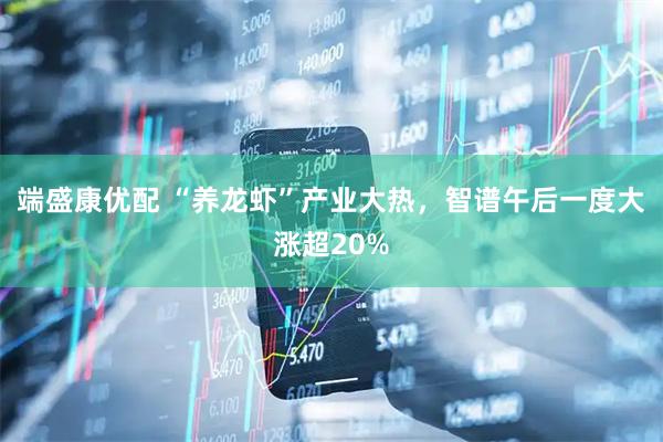端盛康优配 “养龙虾”产业大热，智谱午后一度大涨超20%