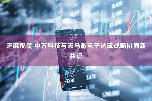 芝麻配资 中方科技与天马微电子达成战略协同新共识