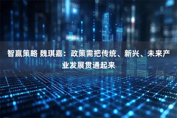 智赢策略 魏琪嘉：政策需把传统、新兴、未来产业发展贯通起来