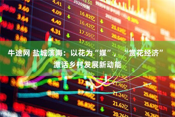 牛途网 盐城滨海：以花为“媒”， “赏花经济” 激活乡村发展新动能