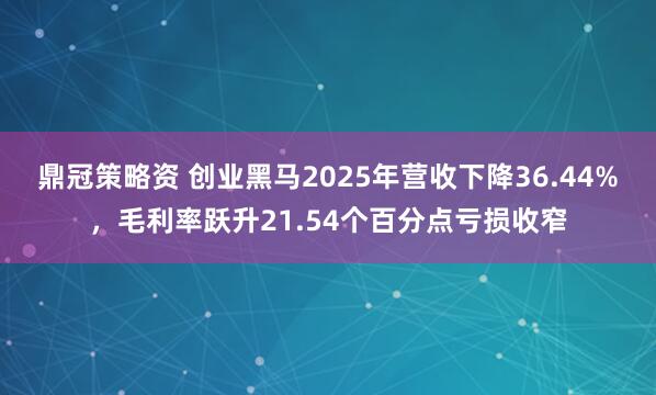 鼎冠策略资 创业黑马2025年营收下降36.44%，毛利率跃升21.54个百分点亏损收窄