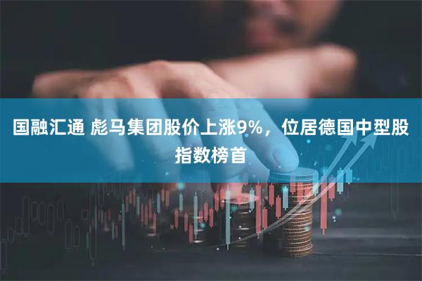国融汇通 彪马集团股价上涨9%，位居德国中型股指数榜首