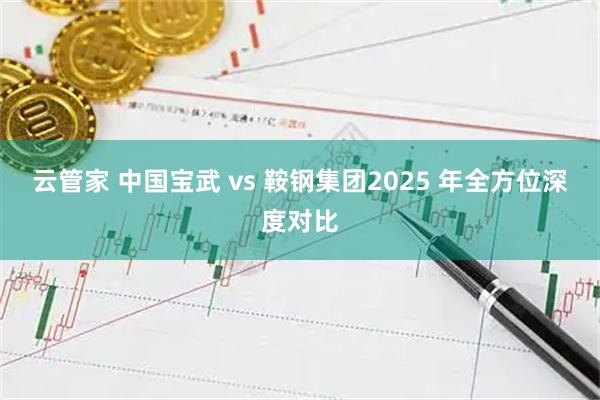 云管家 中国宝武 vs 鞍钢集团2025 年全方位深度对比