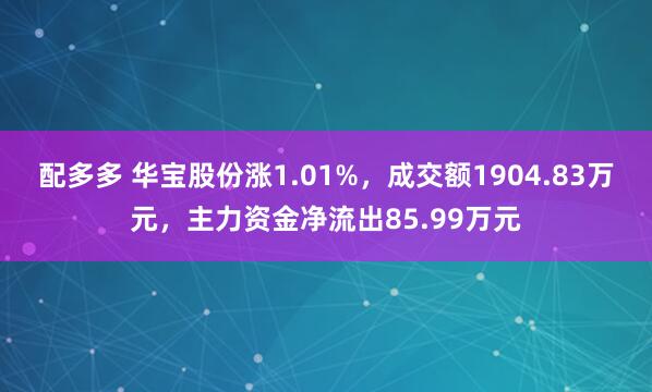 配多多 华宝股份涨1.01%，成交额1904.83万元，主力资金净流出85.99万元