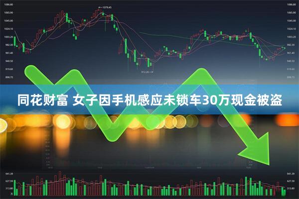 同花财富 女子因手机感应未锁车30万现金被盗