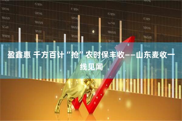 盈鑫惠 千方百计“抢”农时保丰收——山东麦收一线见闻