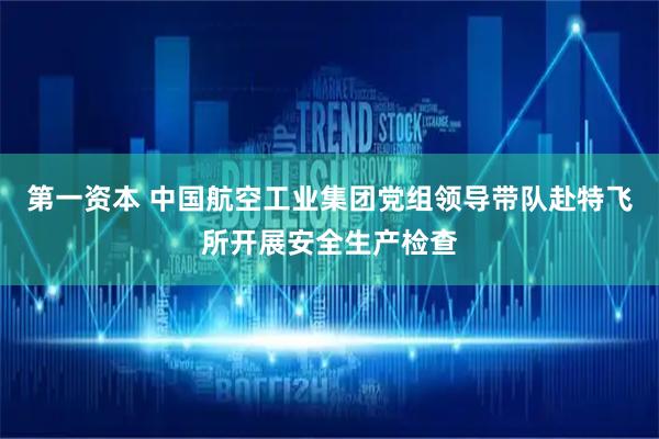 第一资本 中国航空工业集团党组领导带队赴特飞所开展安全生产检查