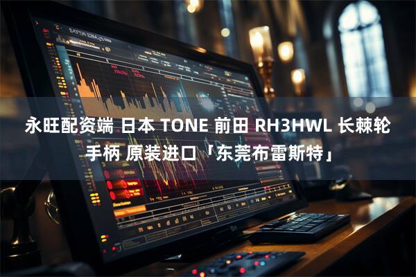永旺配资端 日本 TONE 前田 RH3HWL 长棘轮手柄 原装进口「东莞布雷斯特」
