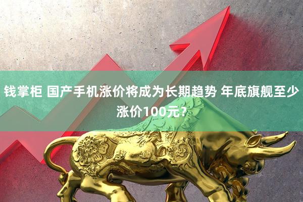 钱掌柜 国产手机涨价将成为长期趋势 年底旗舰至少涨价100元？