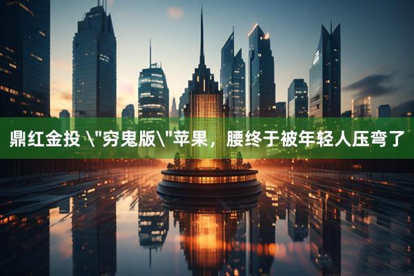 鼎红金投 