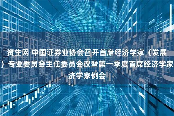 资生网 中国证券业协会召开首席经济学家(发展战略)专业委员会主任委员会议暨第一季度首席经济学家例会
