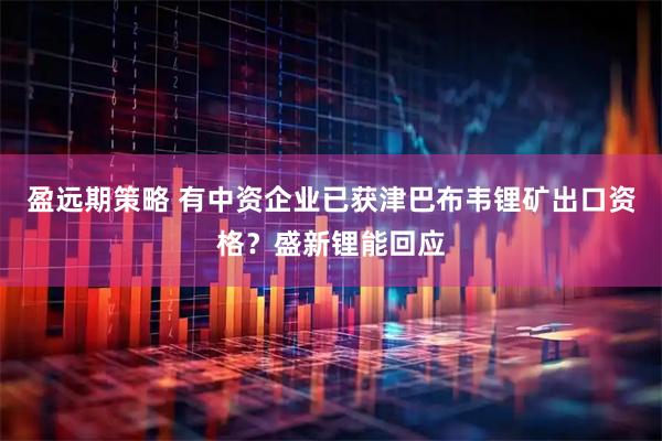 盈远期策略 有中资企业已获津巴布韦锂矿出口资格？盛新锂能回应