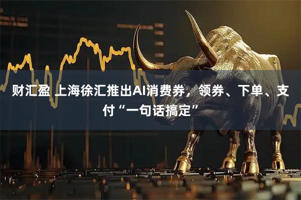 财汇盈 上海徐汇推出AI消费券，领券、下单、支付“一句话搞定”