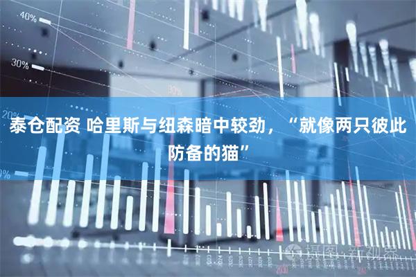 泰仓配资 哈里斯与纽森暗中较劲,“就像两只彼此防备的猫”
