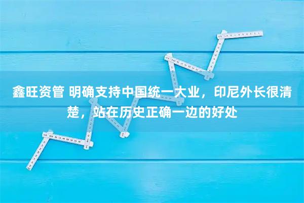 鑫旺资管 明确支持中国统一大业，印尼外长很清楚，站在历史正确一边的好处
