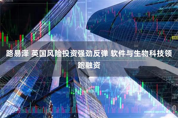 路易泽 英国风险投资强劲反弹 软件与生物科技领跑融资