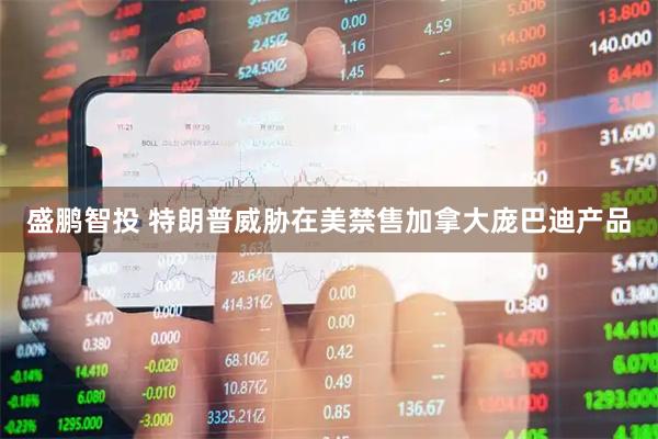 盛鹏智投 特朗普威胁在美禁售加拿大庞巴迪产品